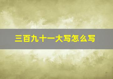 三百九十一大写怎么写