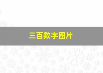 三百数字图片