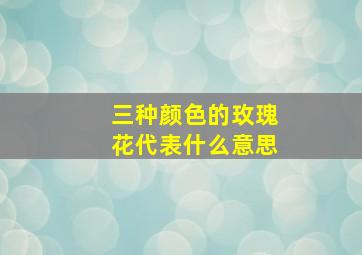 三种颜色的玫瑰花代表什么意思