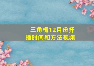 三角梅12月份扦插时间和方法视频