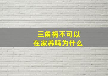 三角梅不可以在家养吗为什么