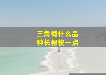 三角梅什么品种长得快一点