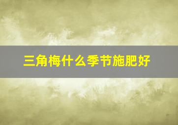 三角梅什么季节施肥好