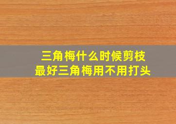 三角梅什么时候剪枝最好三角梅用不用打头