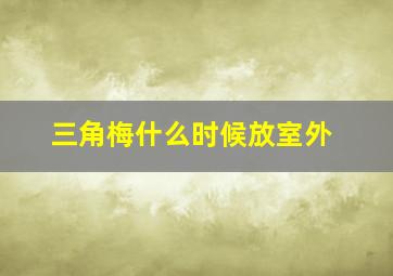 三角梅什么时候放室外