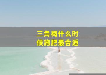 三角梅什么时候施肥最合适