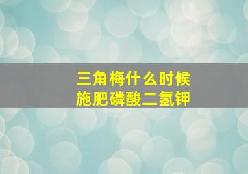 三角梅什么时候施肥磷酸二氢钾