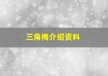 三角梅介绍资料