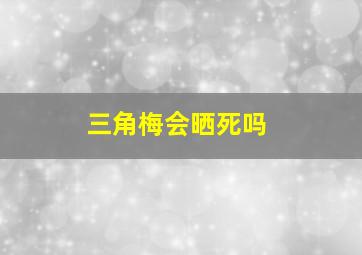 三角梅会晒死吗