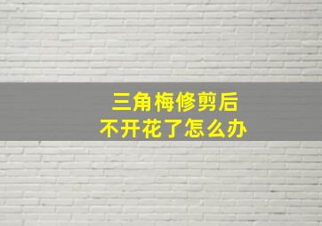 三角梅修剪后不开花了怎么办