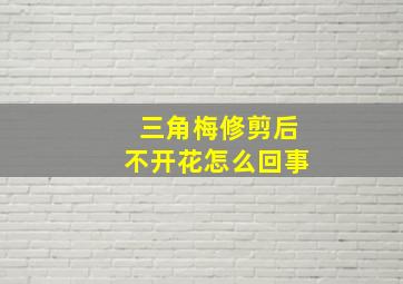 三角梅修剪后不开花怎么回事