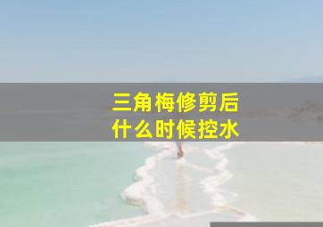 三角梅修剪后什么时候控水