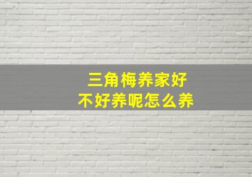 三角梅养家好不好养呢怎么养