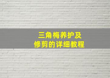 三角梅养护及修剪的详细教程