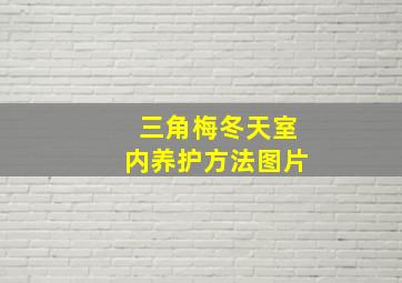 三角梅冬天室内养护方法图片