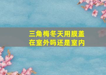 三角梅冬天用膜盖在室外吗还是室内