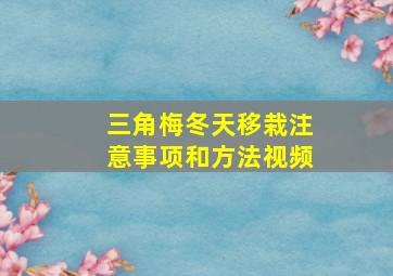 三角梅冬天移栽注意事项和方法视频