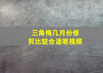 三角梅几月份修剪比较合适呢视频