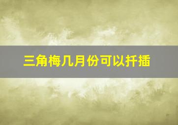 三角梅几月份可以扦插