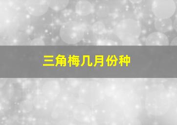 三角梅几月份种