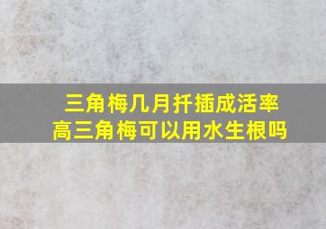 三角梅几月扦插成活率高三角梅可以用水生根吗