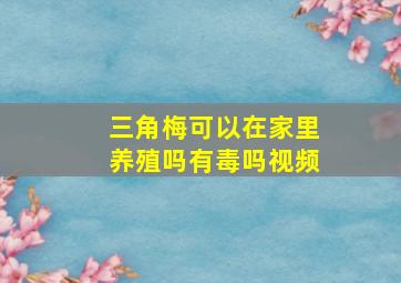 三角梅可以在家里养殖吗有毒吗视频