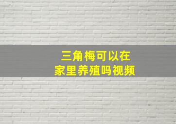 三角梅可以在家里养殖吗视频