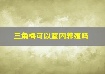 三角梅可以室内养殖吗