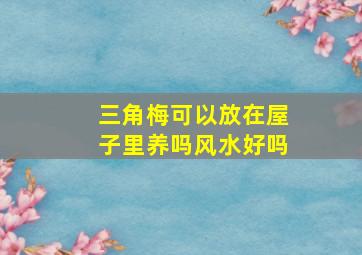 三角梅可以放在屋子里养吗风水好吗