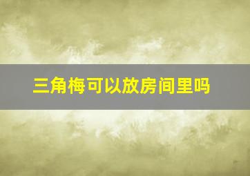 三角梅可以放房间里吗