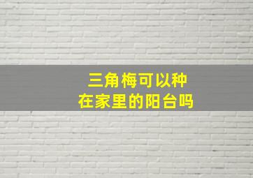 三角梅可以种在家里的阳台吗