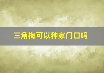 三角梅可以种家门口吗