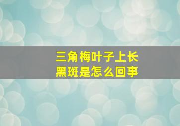 三角梅叶子上长黑斑是怎么回事