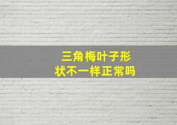 三角梅叶子形状不一样正常吗