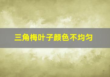 三角梅叶子颜色不均匀