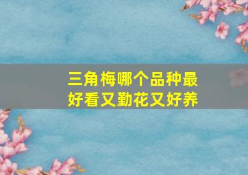 三角梅哪个品种最好看又勤花又好养