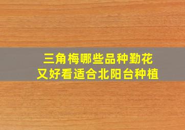 三角梅哪些品种勤花又好看适合北阳台种植