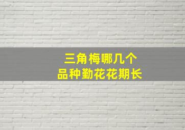 三角梅哪几个品种勤花花期长