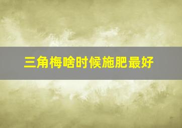 三角梅啥时候施肥最好