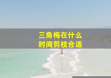 三角梅在什么时间剪枝合适