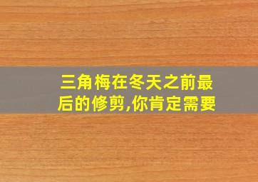 三角梅在冬天之前最后的修剪,你肯定需要