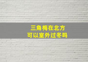 三角梅在北方可以室外过冬吗