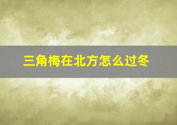 三角梅在北方怎么过冬