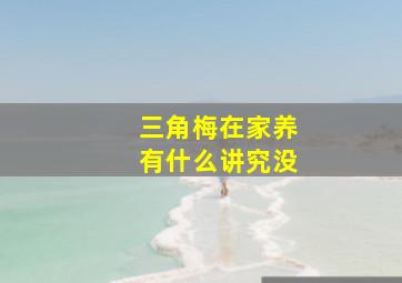 三角梅在家养有什么讲究没