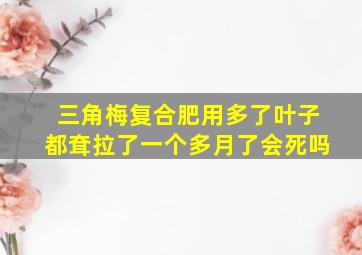 三角梅复合肥用多了叶子都耷拉了一个多月了会死吗