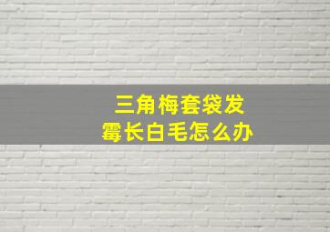 三角梅套袋发霉长白毛怎么办