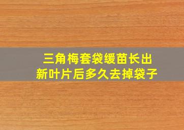 三角梅套袋缓苗长出新叶片后多久去掉袋子