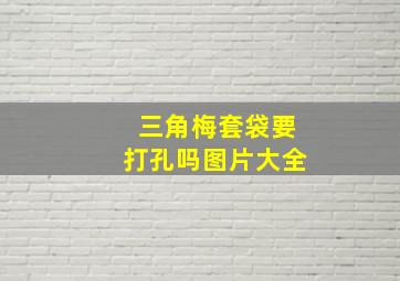 三角梅套袋要打孔吗图片大全