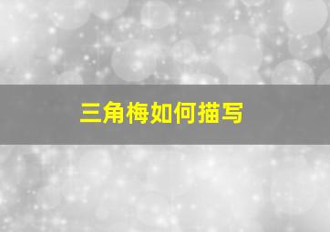 三角梅如何描写