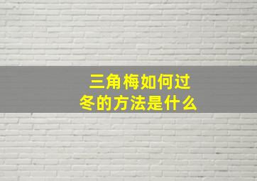 三角梅如何过冬的方法是什么